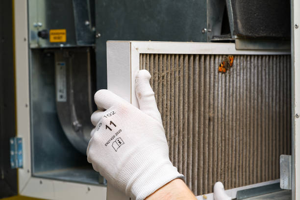Best Air Vent Cleaning Services  in Tahoma, CA