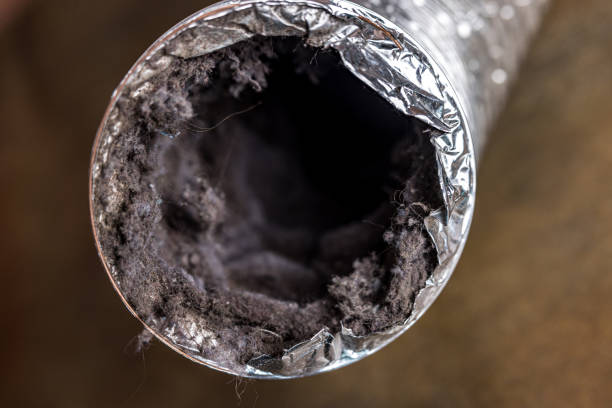 Best Best Air Duct Cleaning Company  in Tahoma, CA