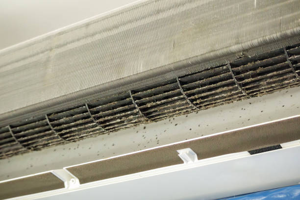 Best Best Air Duct Cleaning Company  in Tahoma, CA